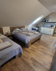 img (4)