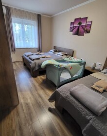 img (2)